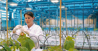 引領行業(yè)服務新潮流